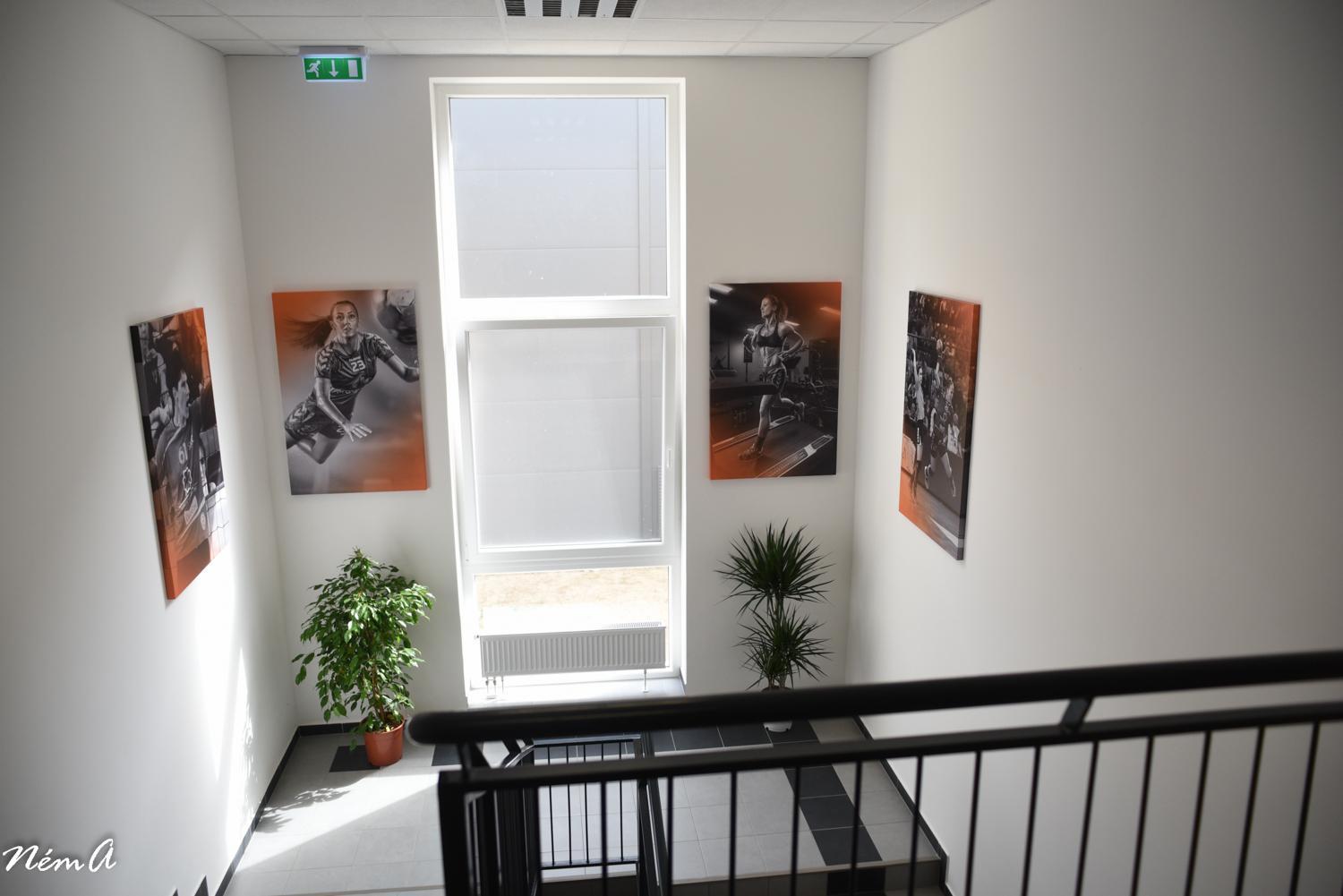 Skc Siofok Apart otel Dış mekan fotoğraf